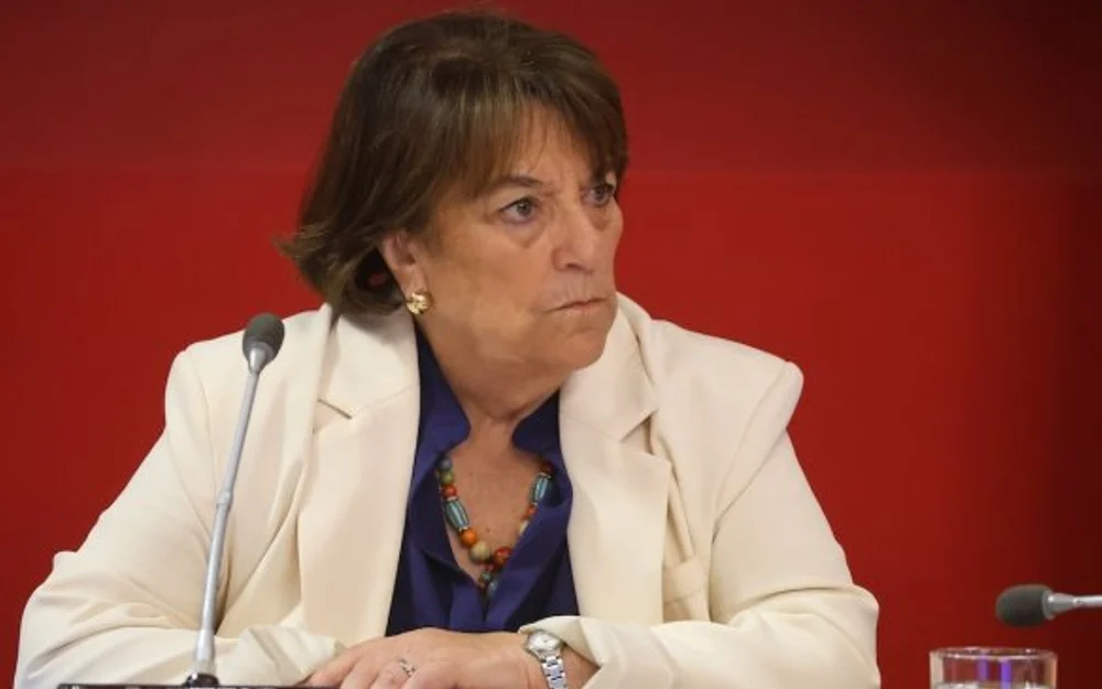 Exministra Delpiano: Debemos estar vigilantes del tema fronterizo con Argentina